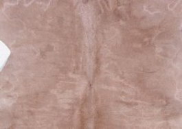 Buck leather texture