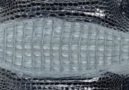Artificial crocodile texture
