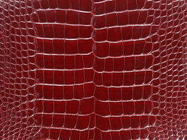 Snake skin pattern texture