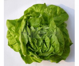 Green vegetables texture