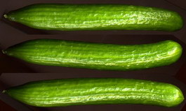 Cucumber texture
