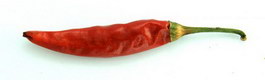 Chili peppers texture