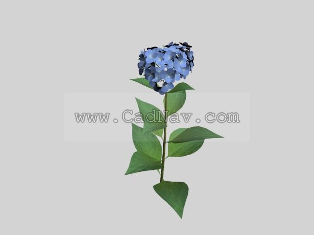 Hydrangea flower 3d model 3Ds Max,3ds files free download  modeling 