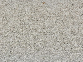 Ivory Plush Carpet texture