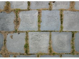 Antique brick pavement texture