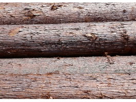 Pine logs texture