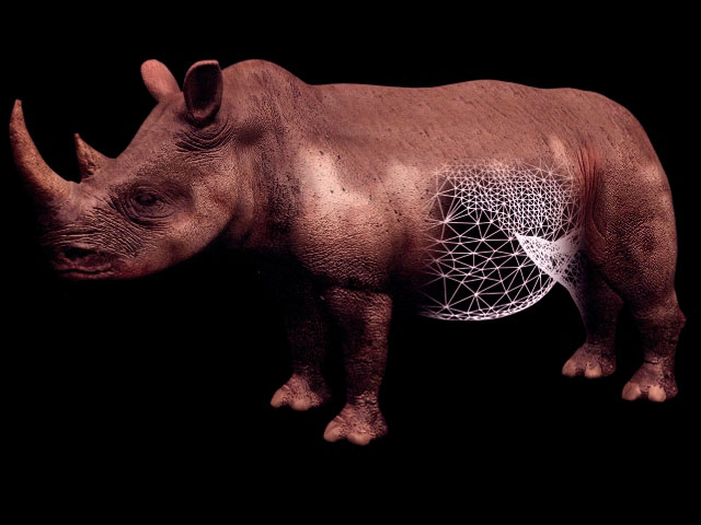 rhinoceros 3d