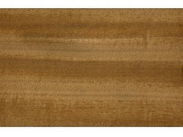 African teak wood grain texture
