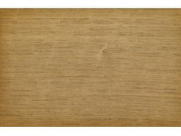 European sweet chestnut wood grain texture
