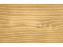 White fir wood texture
