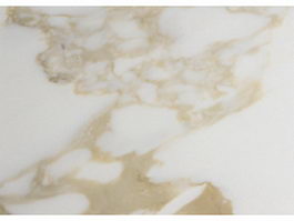 Arabescato corchia white marble texture