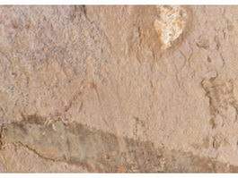 Close-up of rosy brown limestone surface texture