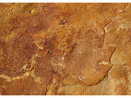 Golden color limestone surface texture