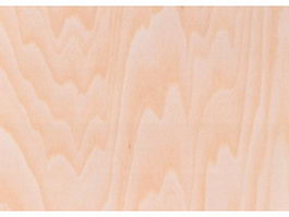 Beautiful wood grain texture