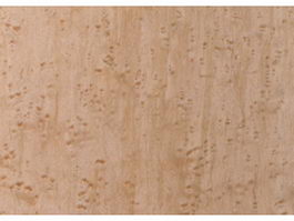 Rough wood background texture