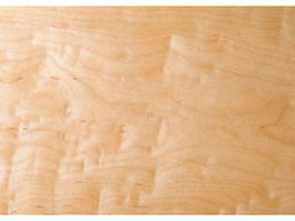 Close up burl wood grain background texture