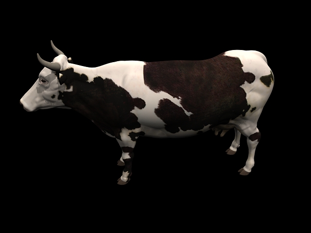 Cow 3d Model Cadnav