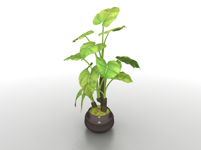 3d plants free download