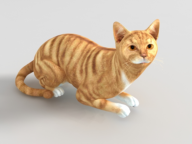 Red tabby cat 3d model 3ds max files free download modeling 29058 on