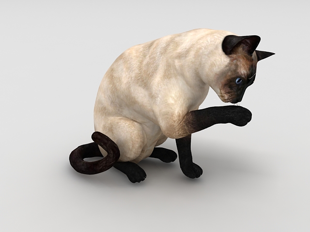 Cat 3d Model Free