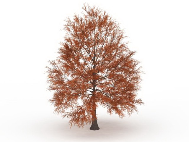 metasequoia 3d