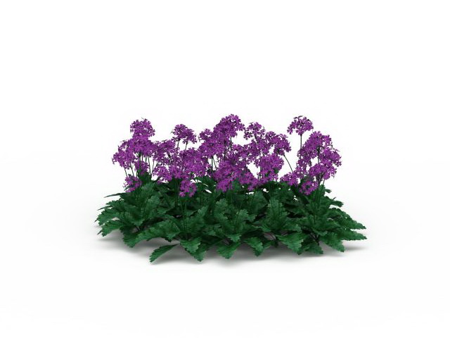 Purple flower plants 3d model 3ds max files free download