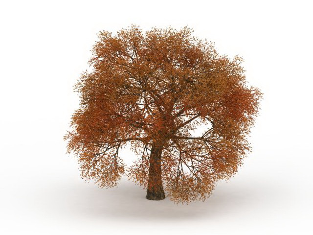 Fall leaves autumn tree 3d model 3ds max files free download - modeling