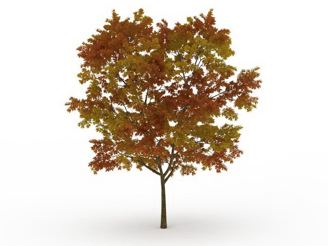 Fall Tree With Leaves 3d Model 3ds Max Files Free Download