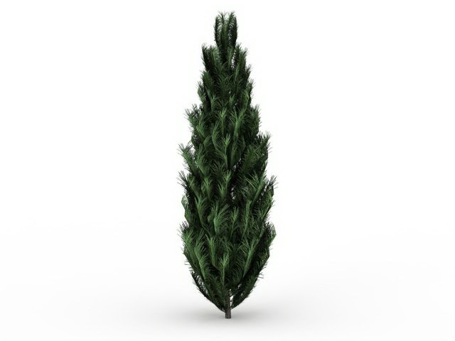 Cypress Tree 3d Model Cadnav