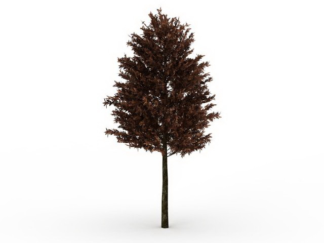 Pine Tree 3D Model Free
