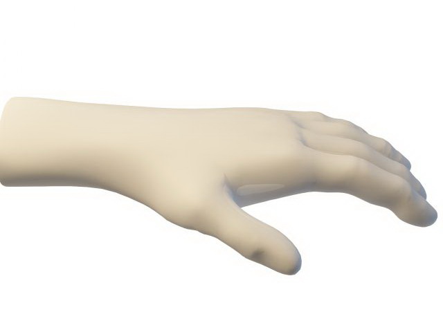 Hand Mannequins 3d Model Cadnav