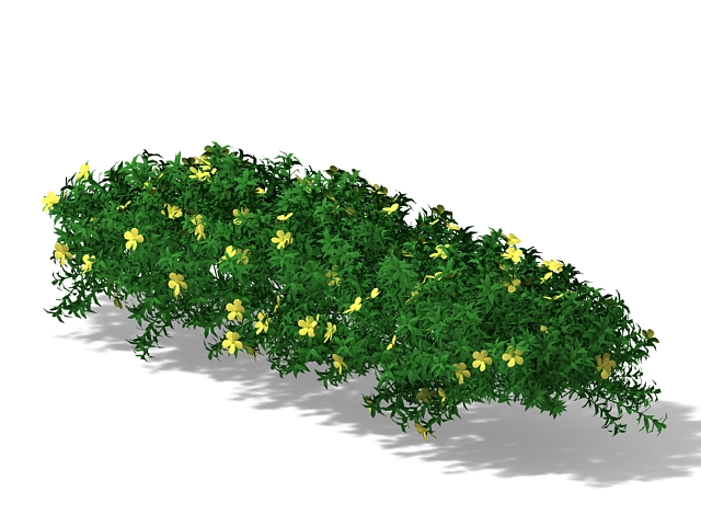 3d tropical plants model free download