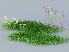 Grass Cadnav