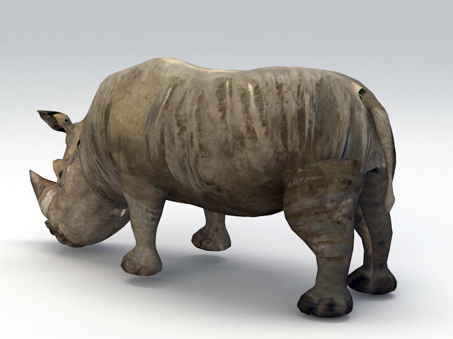 rhinoceros 3d modeling