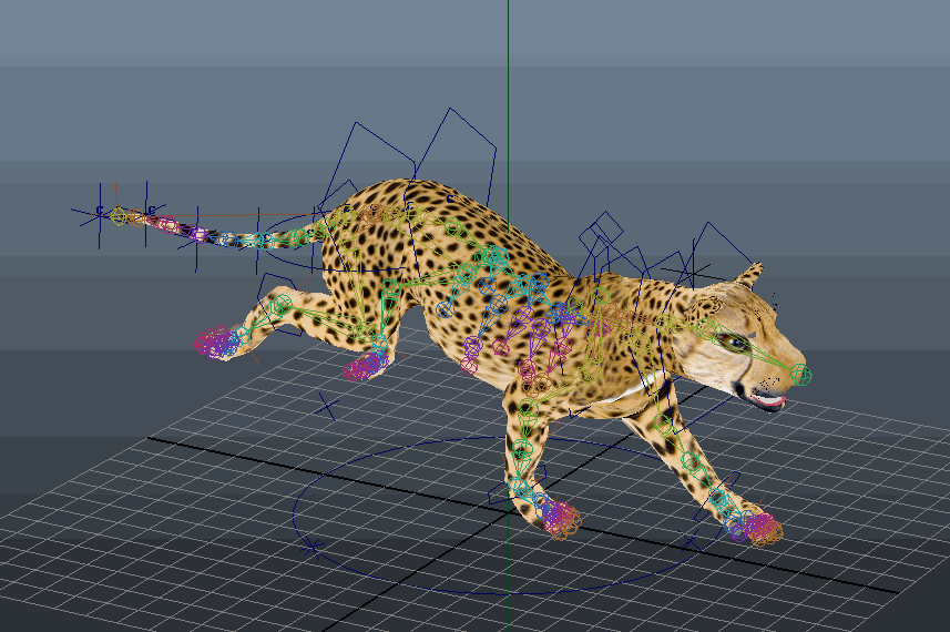 cheetah 3d 5.5