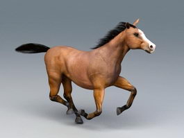 running horse toy