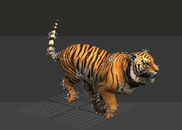 Tiger Running Animation 3d model 3ds Max,Autodesk FBX files free