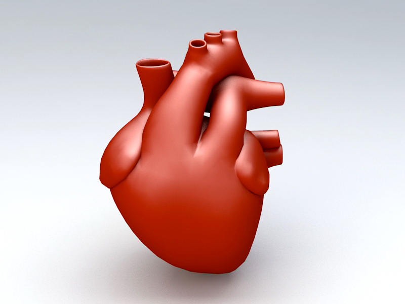 Human Heart 3d model Object files free download - modeling 46124 on CadNav