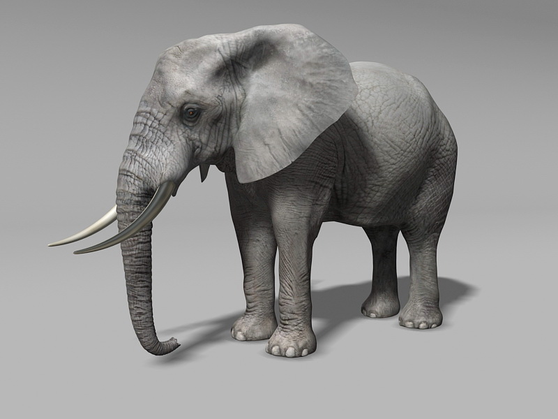 elephant 3d model free download