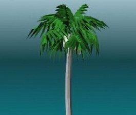 Cocoanut trees 3d model preview