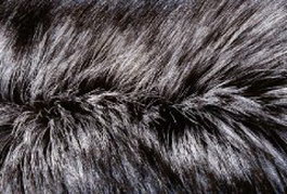 Black fur texture