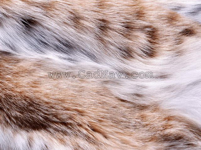 Raw Tiger Skins texture
