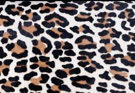 Leopard-print texture