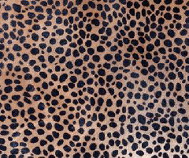 Sexy Leopard texture