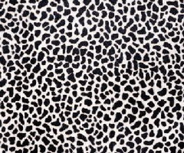 Black leopard texture