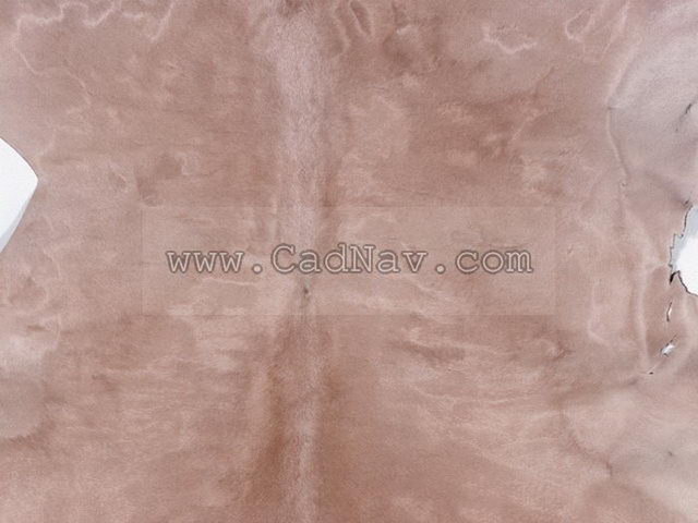 Buck leather texture