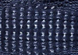 Alligator cloth texture