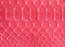 Snake skin raw leather texture