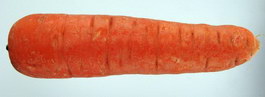 Carrots texture