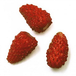 Strawberries texture